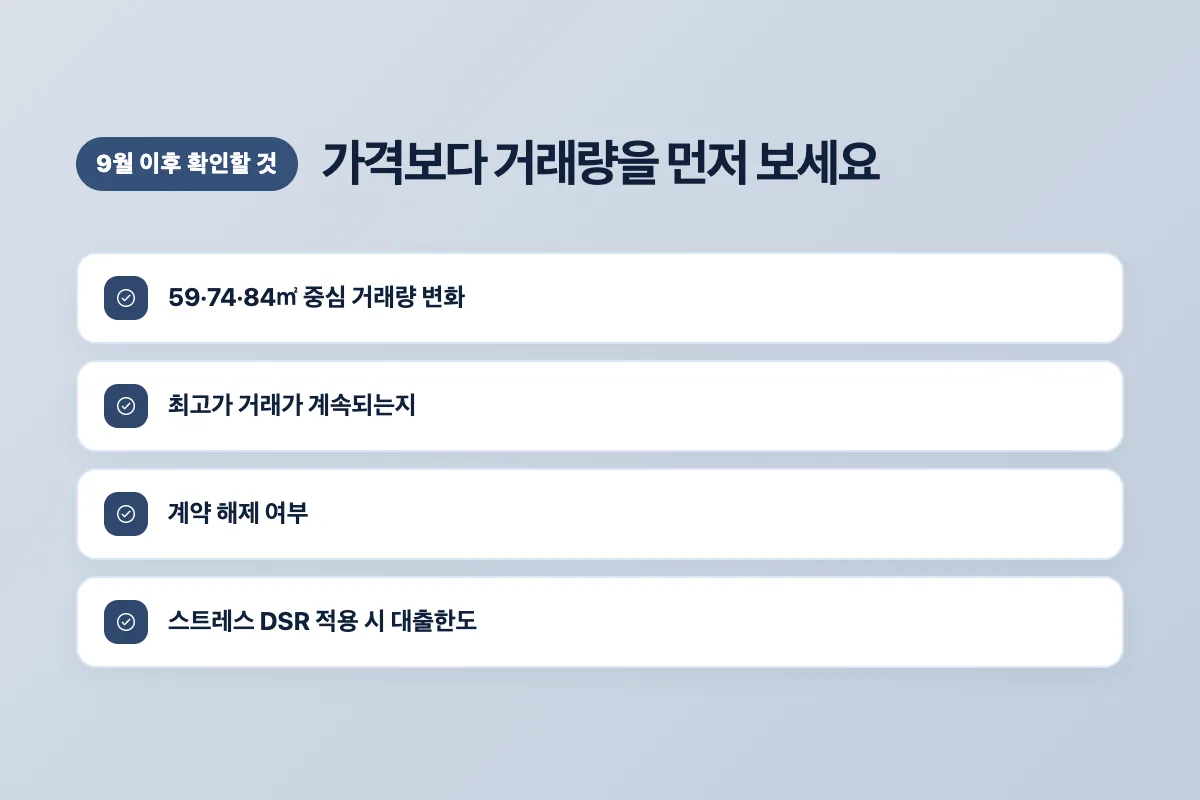 9월 이후 거래량 최고가 지속 계약해제 여부 DSR 한도를 확인하는 체크리스트 이미지