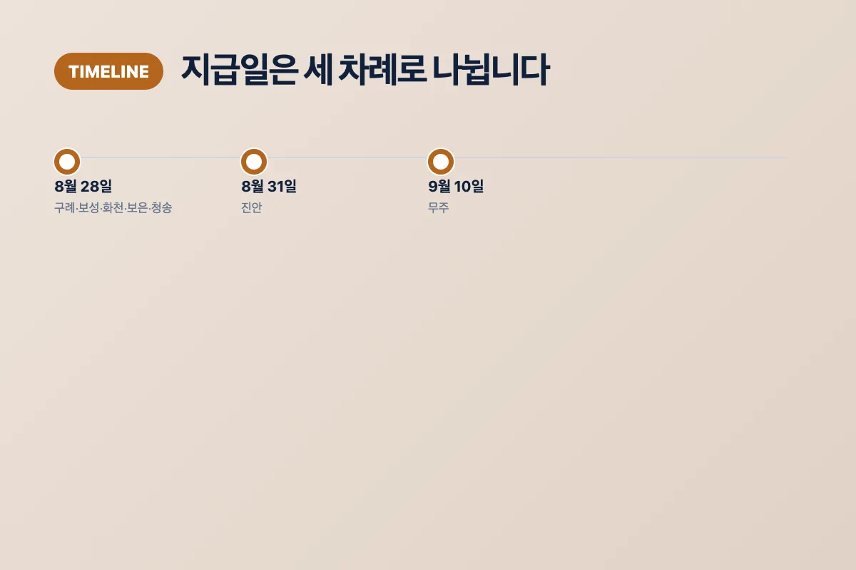 구례 보성 화천 보은 청송은 8월 28일, 진안은 8월 31일, 무주는 9월 10일 지급되는 일정 이미지
