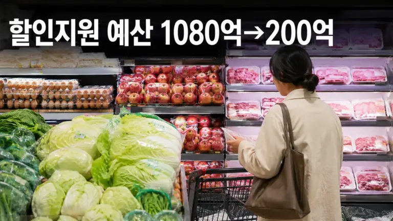 마트 농축산물 할인지원 예산 축소 가능성과 장바구니 물가를 설명하는 이미지